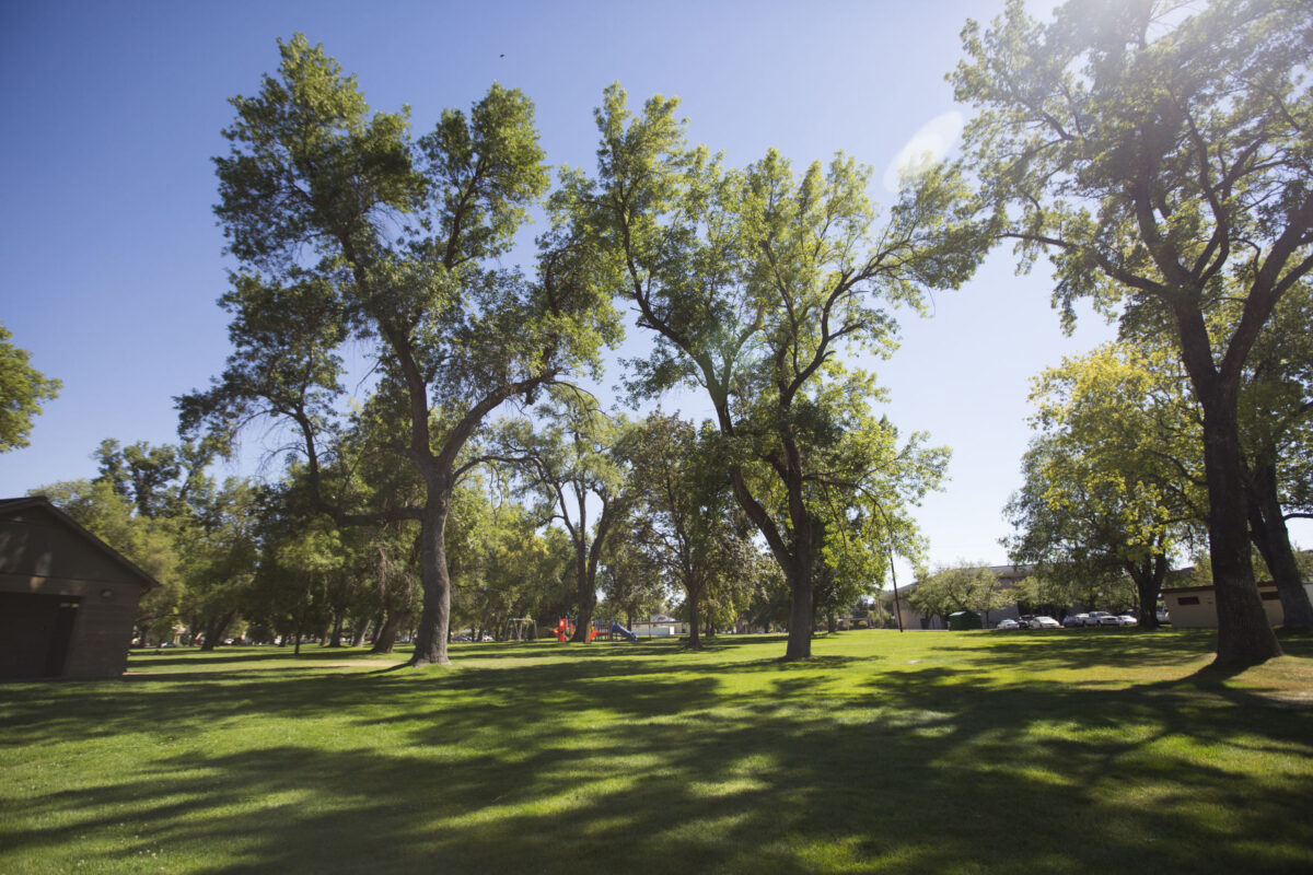 Redesigning Lester Park in Ogden proving to be difficult News, Sports